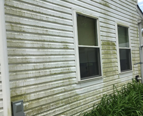 House siding before washing — green algae and grime streaked across the vinyl